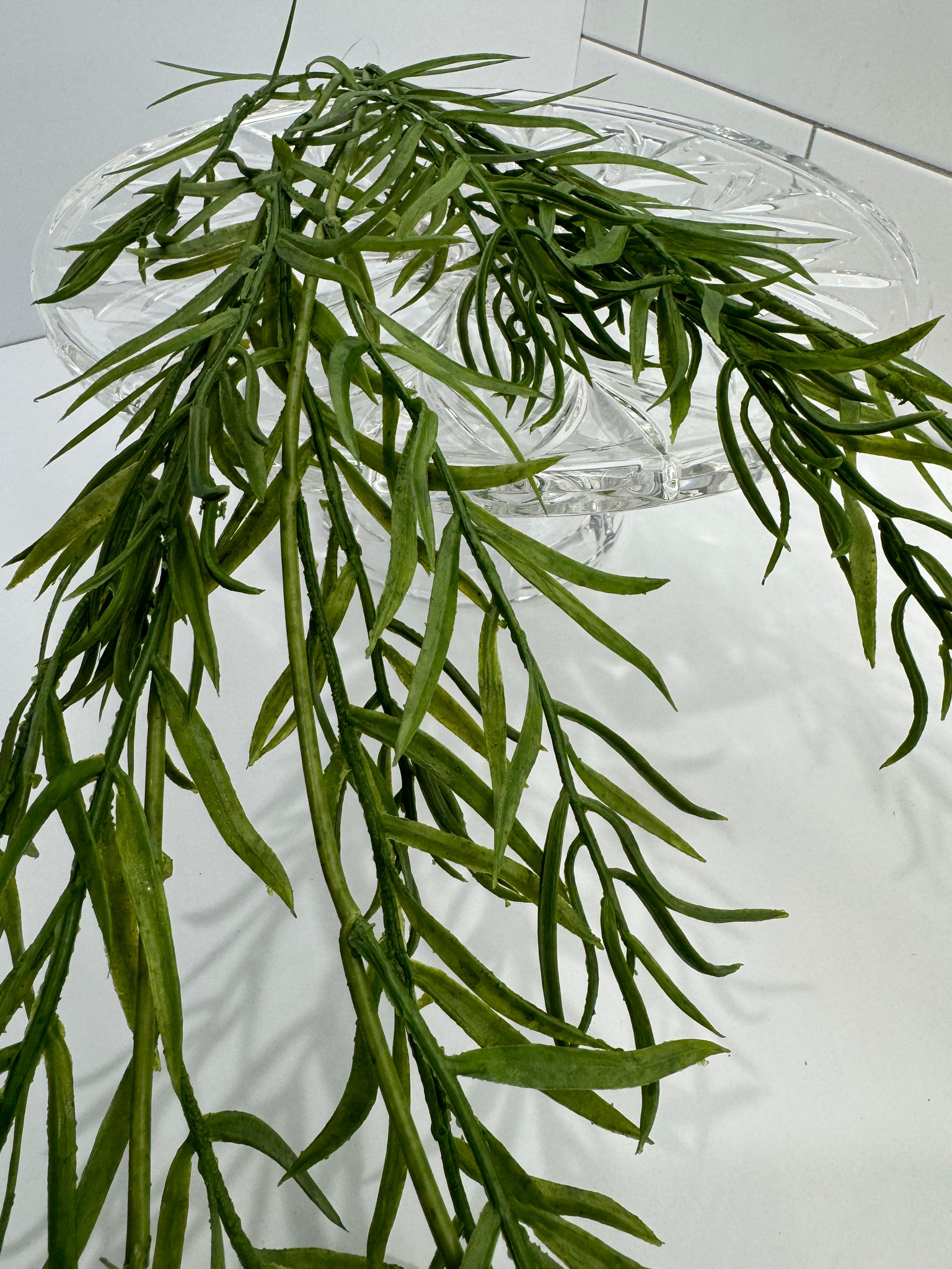 Podocarpus Draping Greenery - Surrey Circle Home