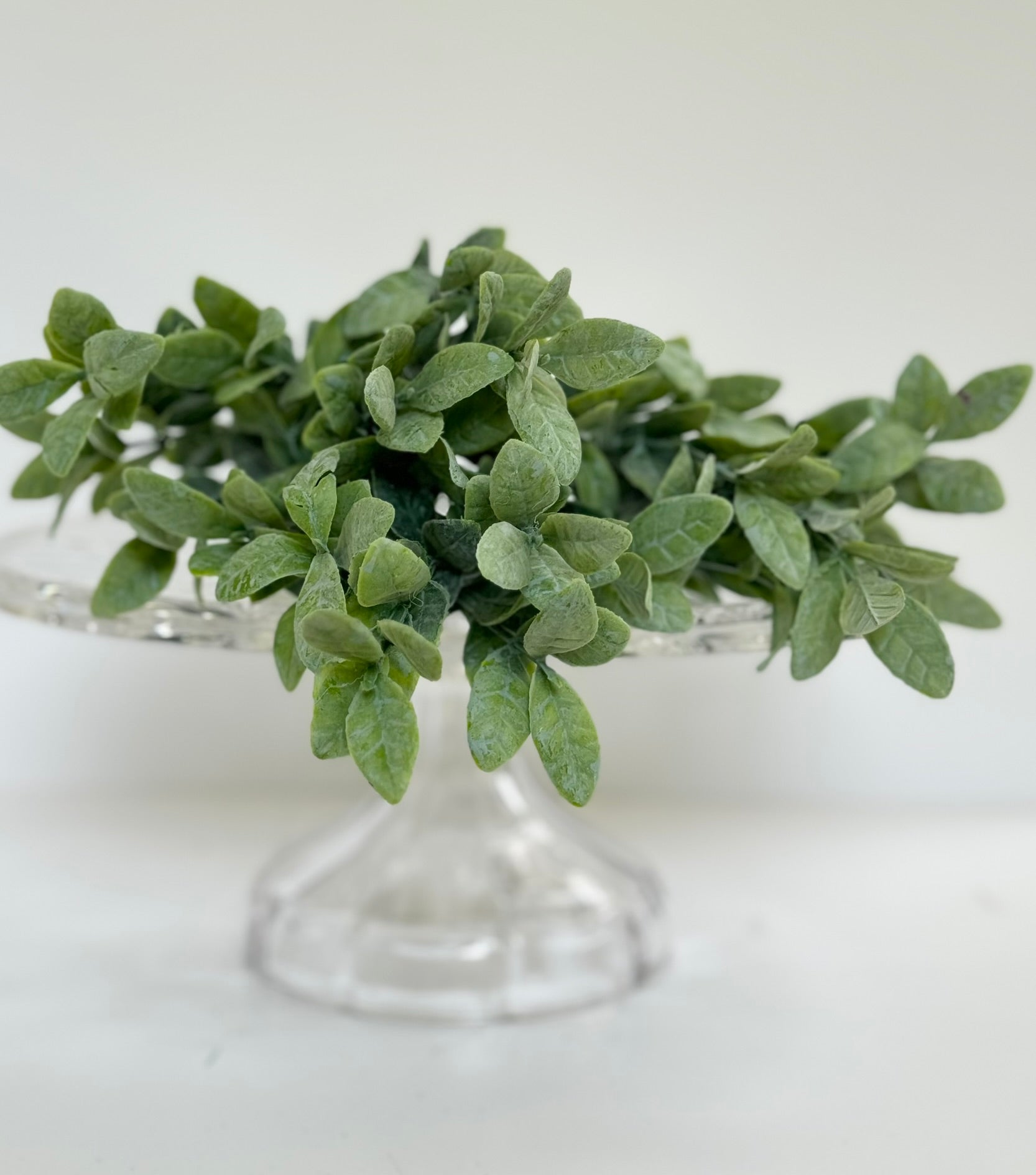 Regency Crepe Myrtle Leaf Greenery Bush - Surrey Circle Home