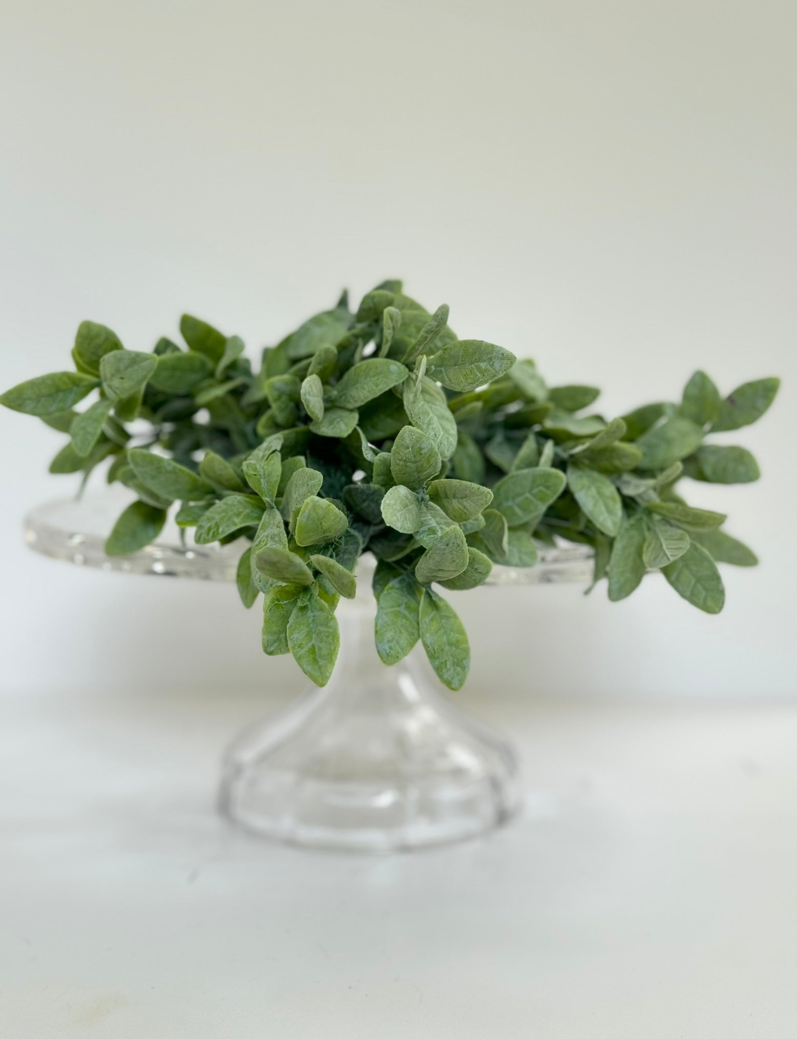 Regency Crepe Myrtle Leaf Greenery Bush - Surrey Circle Home