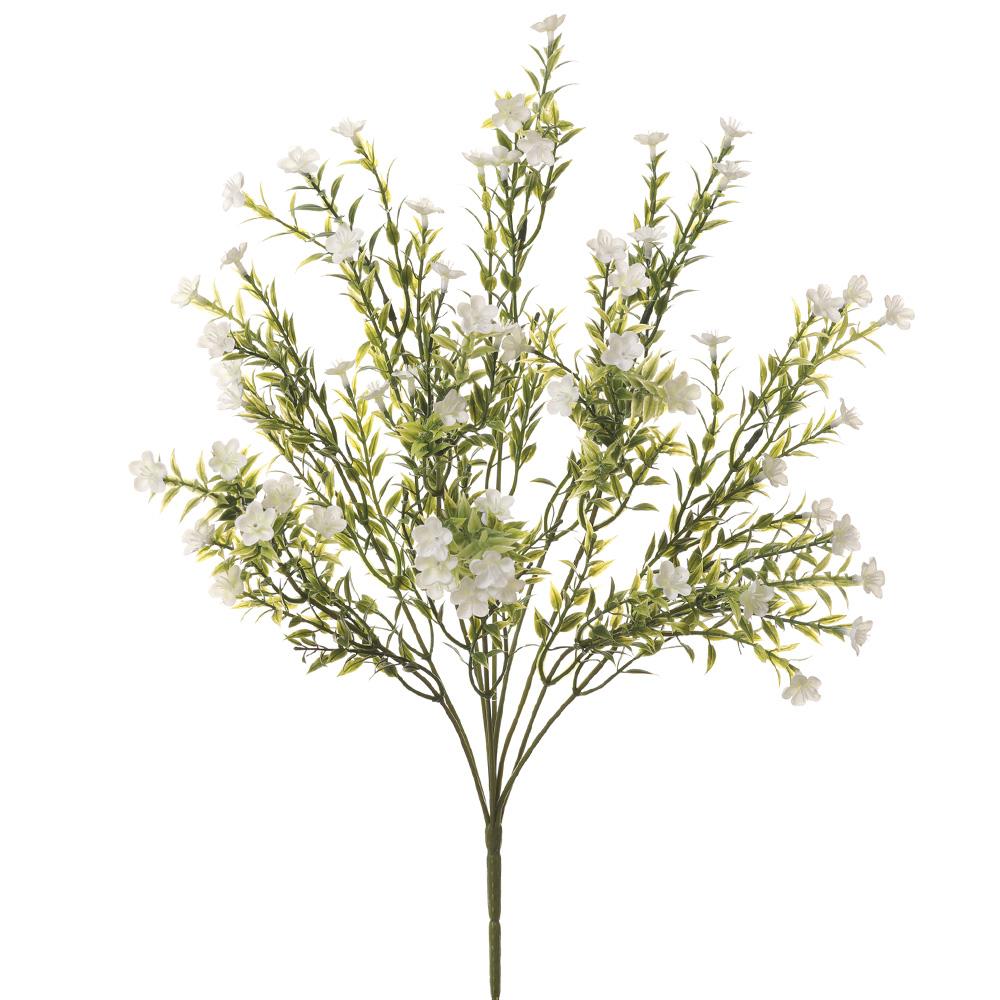 Allstate White Waxflower Bush - Surrey Circle Home